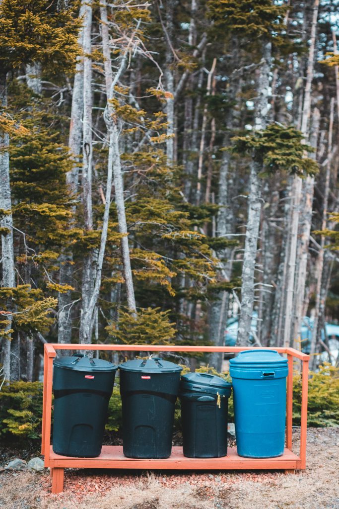 pexels photo 4181611 4181611 Four recycling bins in a forest, promoting environmental awareness.
